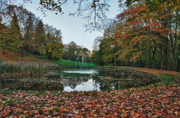Parque de outono e lagoa
 - Foto, Imagem