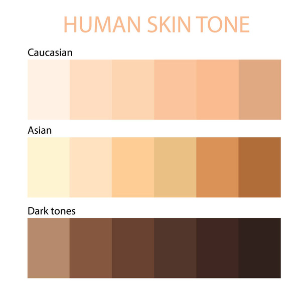 Human Skin tone color by race infographic - Vector, Image