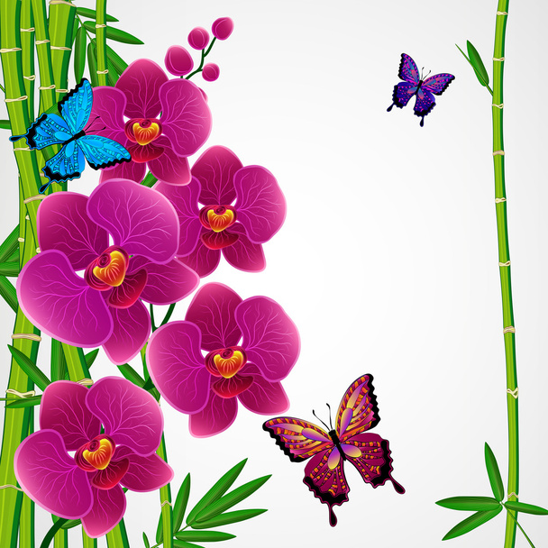 Eps10 Floral design background. Bamboo and orchids with butterfl - Vector, Imagen