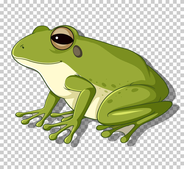 Green frog in flat cartoon style illustration - Vector, Image