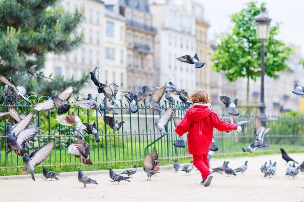 Lindo niño cogiendo y jugando con palomas en la ciudad
 - Foto, imagen