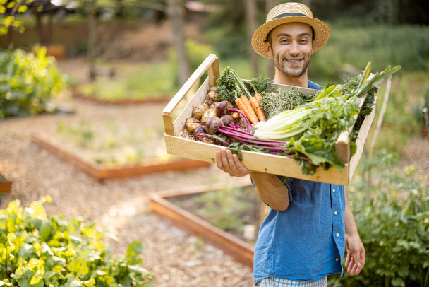 Ritratto di bel contadino in cappello di paglia che porta sulla spalla una scatola piena di verdure appena raccolte nei terreni agricoli. Concetto di cibo biologico locale - Foto, immagini