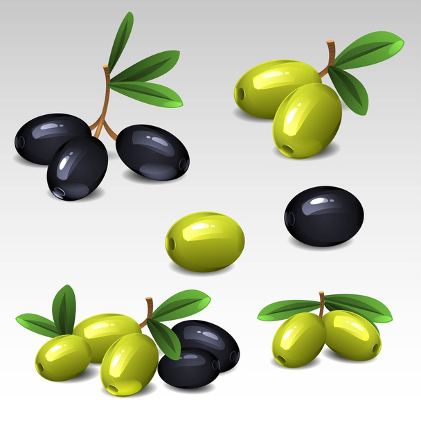 Чорно-зелені оливки
 - Вектор, зображення