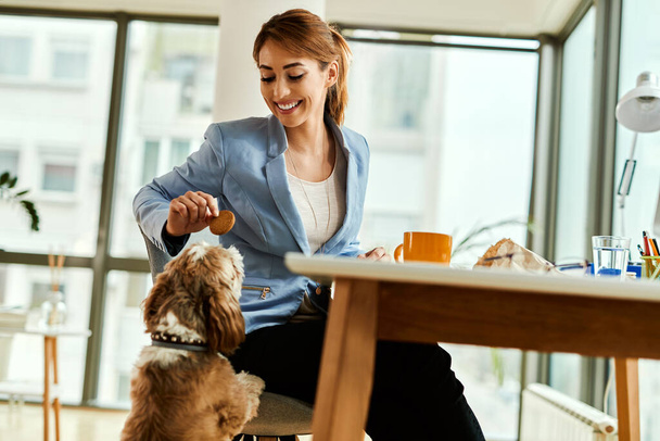 Молода бізнес-леді розважається зі своєю собакою і дає йому печиво в офісі
.  - Фото, зображення
