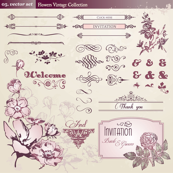 Flowers and vintage elements collection - Vector, Image