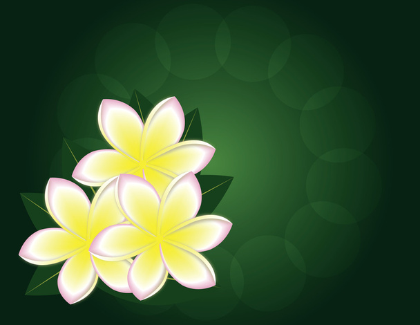 Magnolia - Вектор,изображение