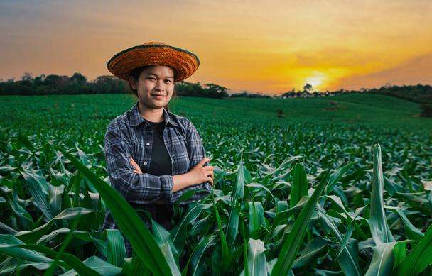 одна азиатская молодая девушка фермер стоит скрестив руки на зеленом кукурузном поле в сельской местности Таиланда в вечерний закат, сельское хозяйство и культивация концепции - Фото, изображение