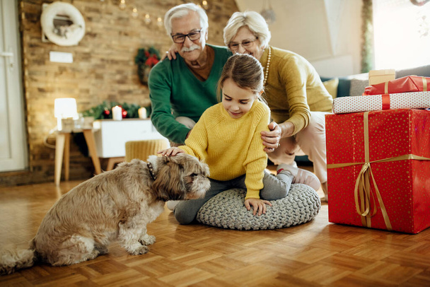 Pieni tyttö halailemassa koiraa viettäessään joulua isovanhempiensa kanssa kotona.  - Valokuva, kuva