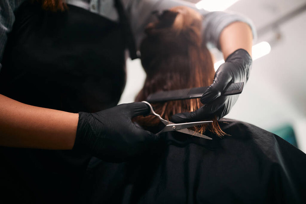 Close-up of hairstylist cutting hair of female client at hair salon. - 写真・画像