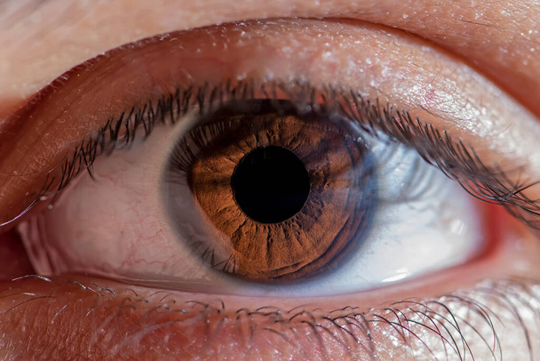 Äärimmäinen makro laukaus ihmisen ruskea silmä. Vapaa tila teksti, täydellinen tausta lääketieteen, tieteen ja silmätautien teema - Valokuva, kuva