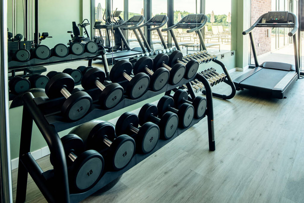 Hand weights in a row on rack in empty gym. - Фото, зображення