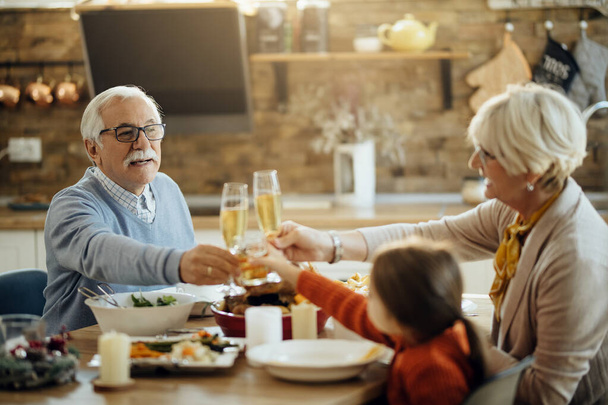 Boldog nyugdíjas férfi pohárköszöntő feleségével és unokájával, miközben családi ebéd hálaadáskor az ebédlőben.  - Fotó, kép