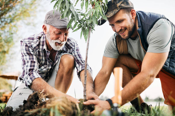 Happy senior man and his adult son planting a tree in nature. - Foto, afbeelding