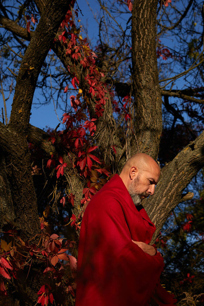 Взрослый мужчина в красном стоит у дерева в осеннем парке - Фото, изображение