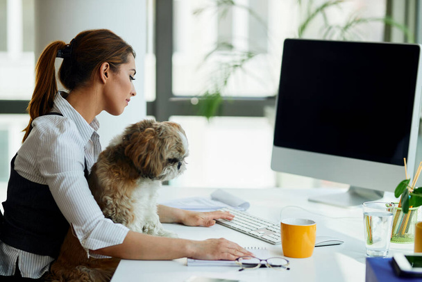 Молода бізнес-леді працює на комп'ютері, поки собака сидить на колінах в офісі
.  - Фото, зображення