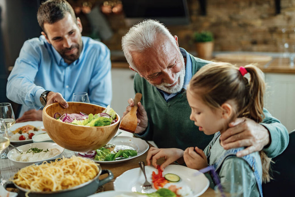 Šťastný senior muž mluví se svou vnučkou při obědě u jídelního stolu. - Fotografie, Obrázek