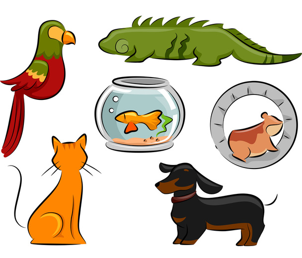 Elementos de diseño para mascotas
 - Foto, imagen