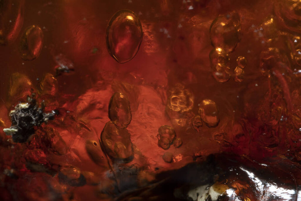 natural tree amber resin macro close up - Фото, изображение