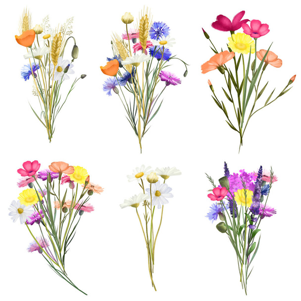 Collection of bouquets of bright summer meadow flowers and plants (cornflowers, chamomiles, wheat spikelets etc), isolated illustration on white background - Foto, Bild
