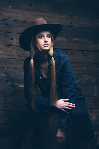Cowgirl jeans fashion woman with long blonde hair. Sitting on wo - Foto, immagini