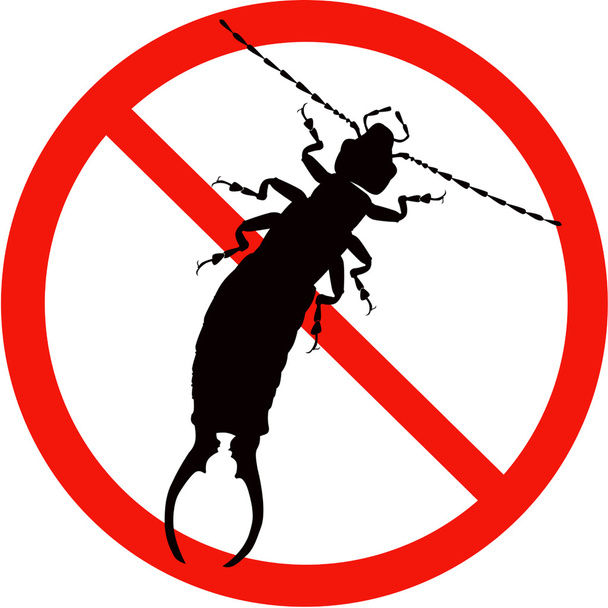 Silhouette nera pericolo insetto
 - Vettoriali, immagini