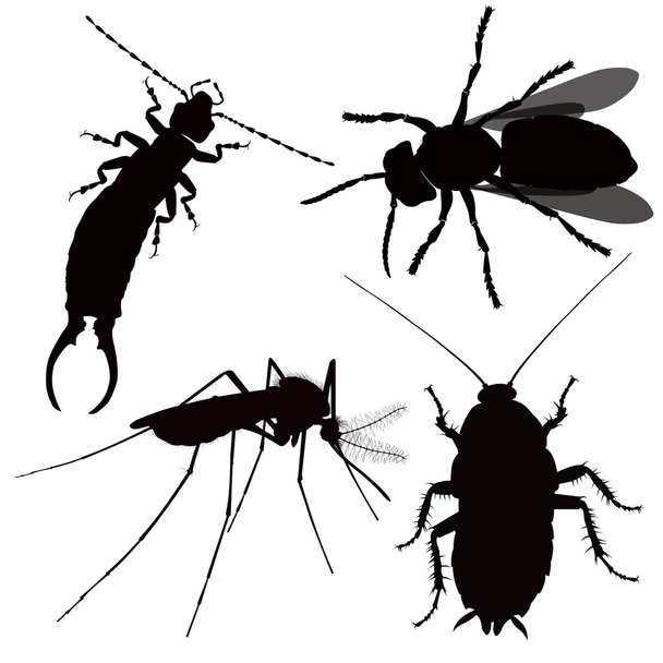 Black silhouette danger insect - Vector, Image