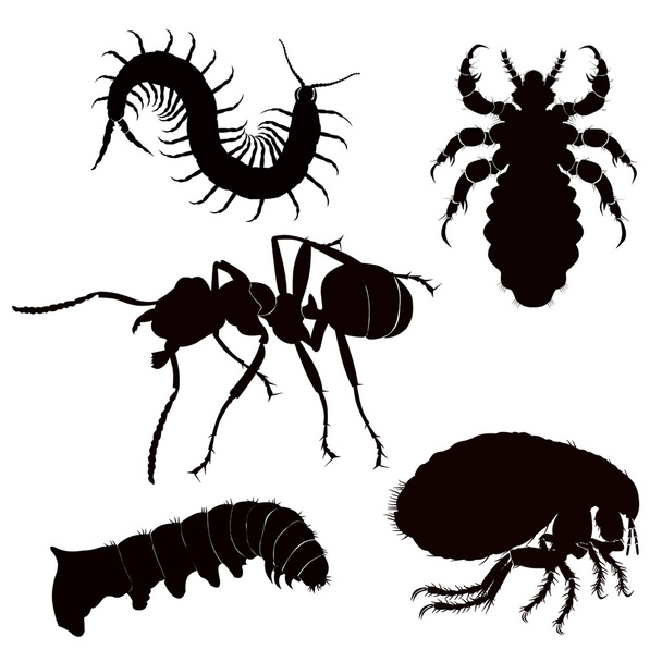 Black silhouette danger insect - Vector, Image