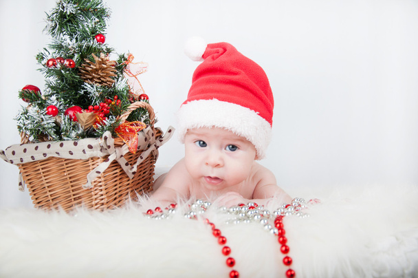 Roztomilé dítě v Santa klobouk s vánoční stromeček za - Fotografie, Obrázek