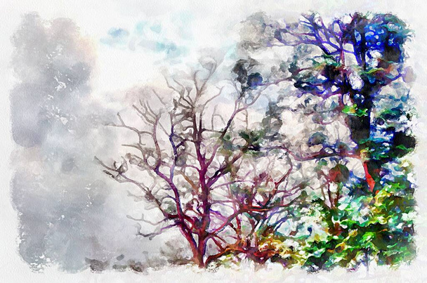 Watercolor painting of nature abstract background with sky and top of tree. Modern digital art, imitation of hand painted with aquarells dye - Fotoğraf, Görsel