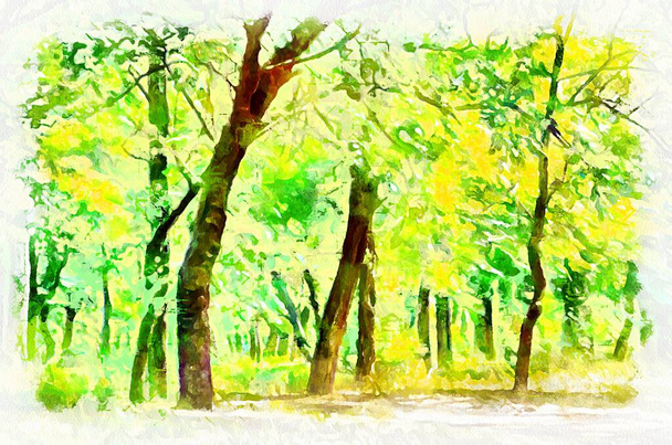 Watercolor painting of landscape with trees in park. Modern digital art, imitation of hand painted with aquarells dye - Fotoğraf, Görsel