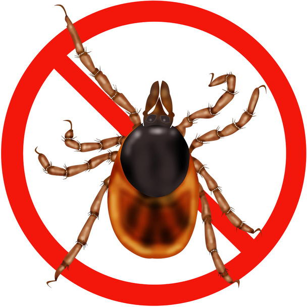 Danger insecte panneau routier
 - Vecteur, image