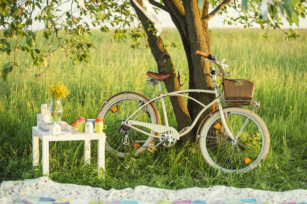 Bicycle with picnic set in summer day - Photo, Image