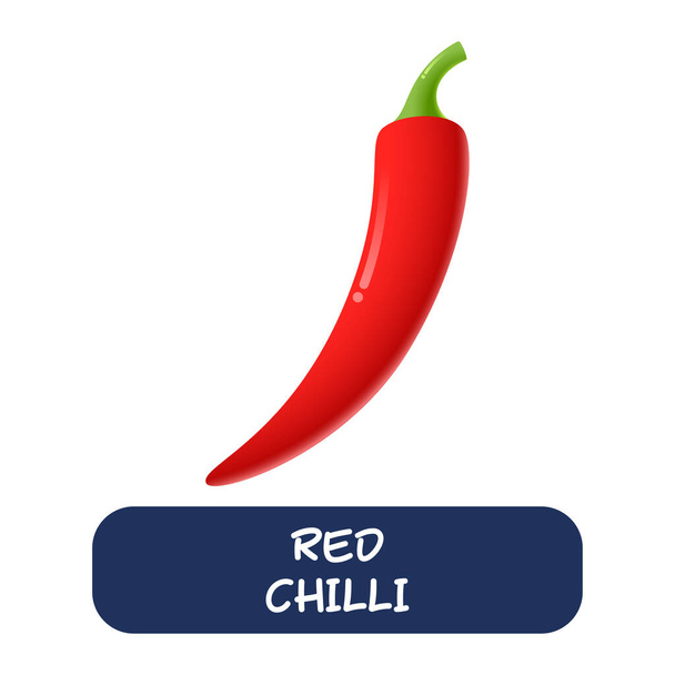 cartoon rode chili groenten vector geïsoleerd op witte achtergrond - Vector, afbeelding
