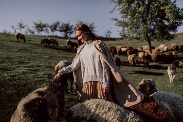 beautiful woman posing on the farm field - Фото, изображение