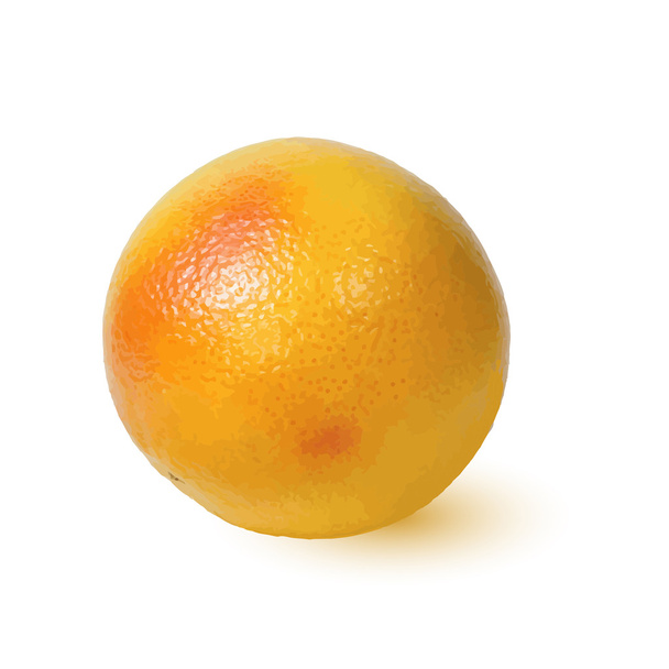 Érett Arany étvágygerjesztő grapefruit. - Vektor, kép