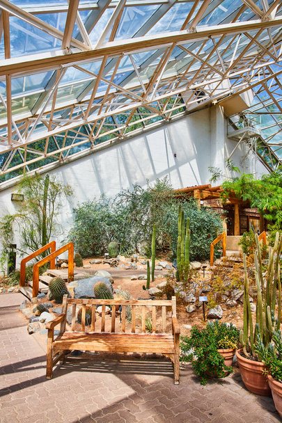 Image of Greenhouse of stunning cactus plants with paths and bench - Zdjęcie, obraz
