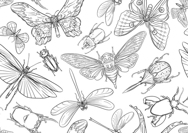 Set of insects: beetles, butterflies, moths and dragonflies. Etymologists set. Seamless pattern, background. Outline vector illustration - Vektor, obrázek