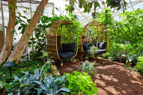Image of Two chairs inside greenhouse gardens - Φωτογραφία, εικόνα