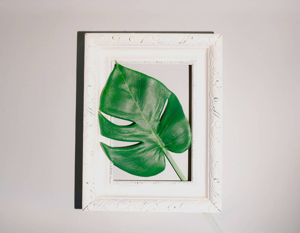 Philadendron Monstera  in vintage painting frame on light background. Spring or summer aesthetic creative idea. Minimal flat lay. - Фото, изображение
