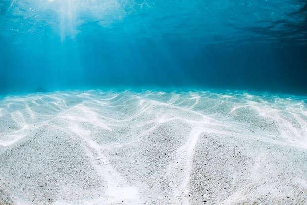 Onderwater transparante blauwe oceaan met zandbodem en zonnestralen in Hawaï - Foto, afbeelding