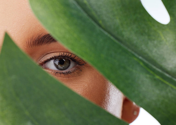 Nahaufnahme Porträt einer unbekannten Frau, die ihr Gesicht mit einem grünen Monstera-Pflanzenblatt bedeckt. Headshot des kaukasischen Models posiert vor grauem Hintergrund in einem Studio mit glatter Haut, frischer, gesunder Hautpflege. - Foto, Bild