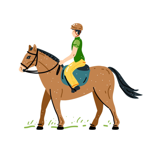 Homem montando cavalo. Ilustração vetorial. Esporte equestre treinamento passeio a cavalo. Cavaleiro em uniforme de jóquei e capacete isolado contra fundo branco - Vetor, Imagem