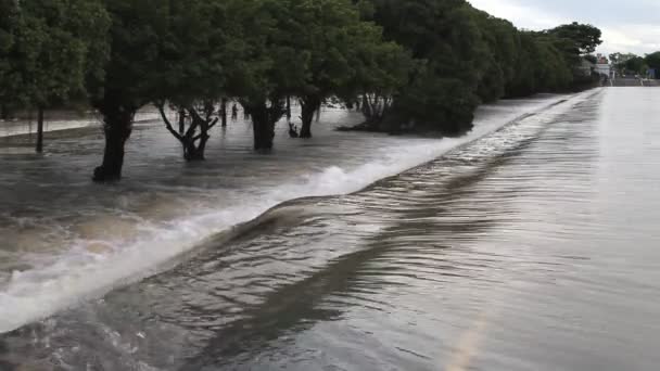 Set collection montage,Flood, Water flow over road, tree line background. - Footage, Video