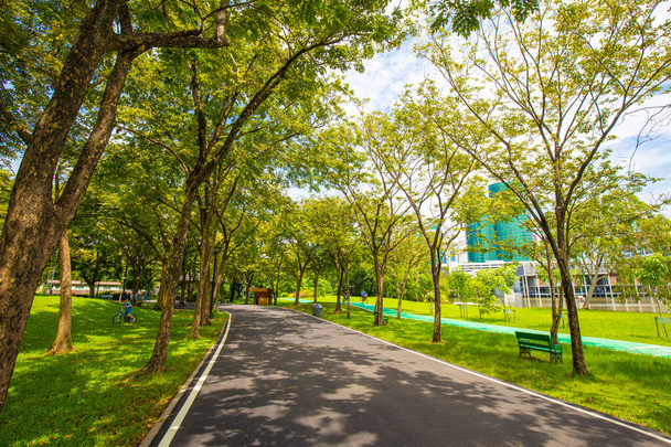 Üres zöld kerékpár pálya a városi nyilvános parkban napos nap szabadtéri tevékenység - Fotó, kép
