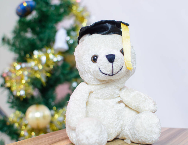 Portrait of a teddy with a black graduating cap placed near a Christmas tree  - Foto, Imagen