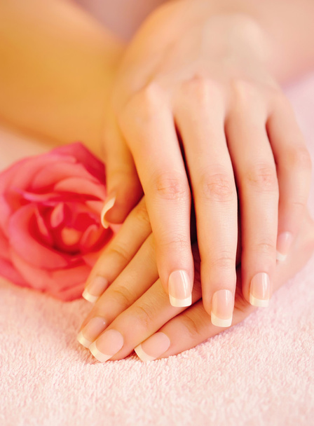 zbliżenie obrazu różowy Manicure francuski z różą - Zdjęcie, obraz