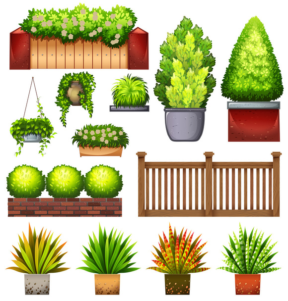 Set of different plants - Vector, Image