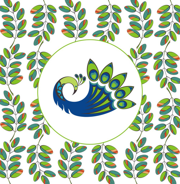 Peacock.Vector bird - Vector, afbeelding