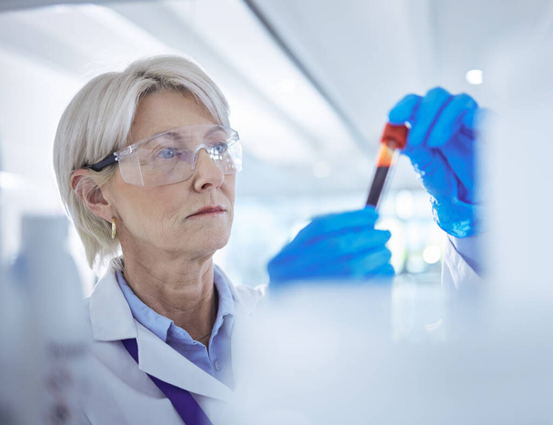 a mature scientist analysing a blood sample in a test tube. - 写真・画像