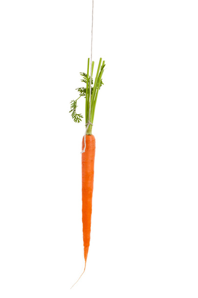 Zanahoria colgante
 - Foto, Imagen